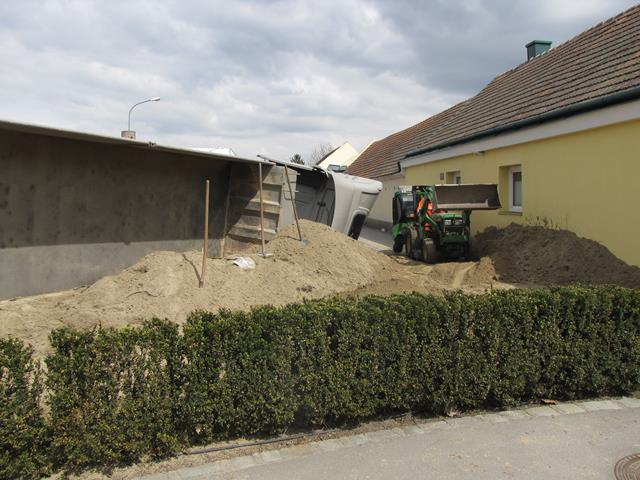 IMG 6550
